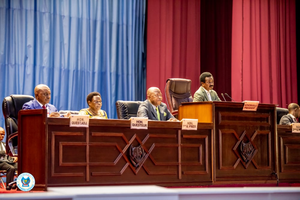 RDC-Parlement:Les élus nationaux lèvent  5 options portant  réforme de la loi électorale