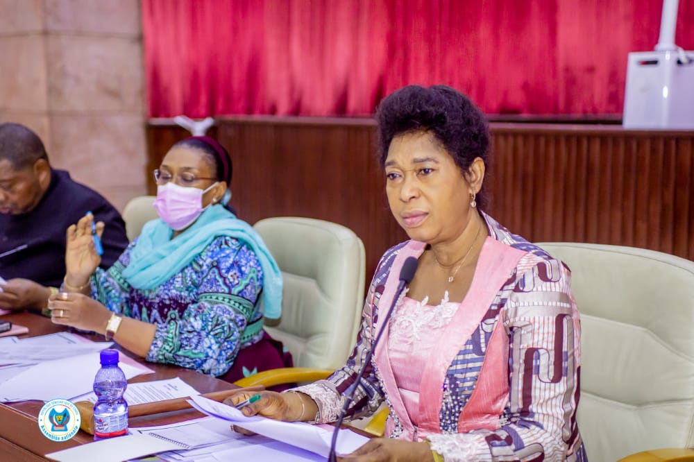 RDC-Parlement:Le Comité des Sages évalue ses activités durant la session ordinaire de mars de l’Ass.Nat