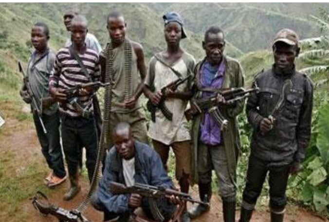 RDC-Securité:Huit groupes armés exigent la consultation pour taire les armes