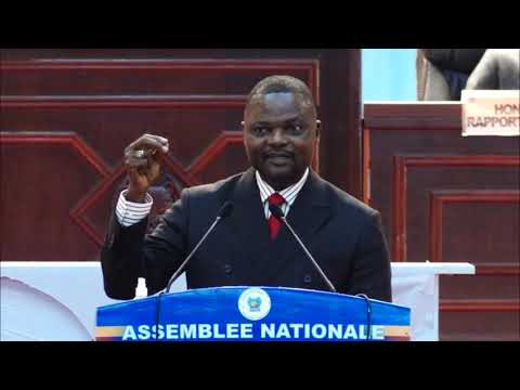 RDC-Parlement:Emery Okundji soutient la proposition de loi de Claudel Lubaya