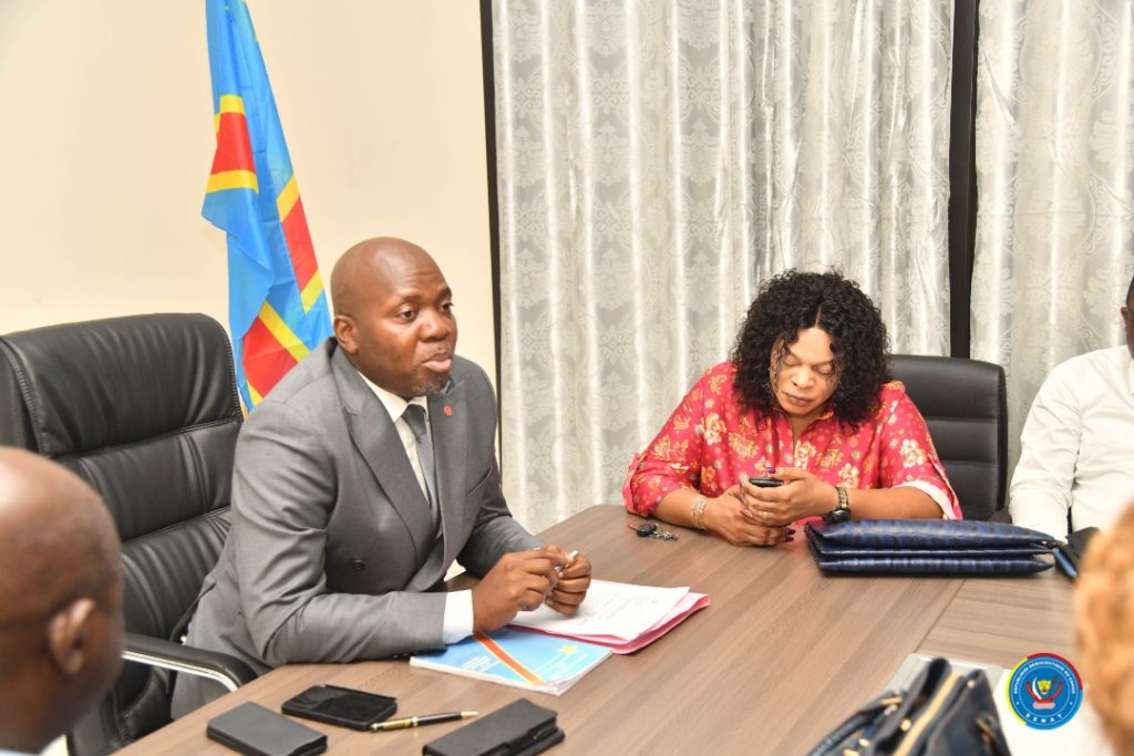 RDC-Parlement:La commission PAJ du Sénat entame l’examen de la loi électorale