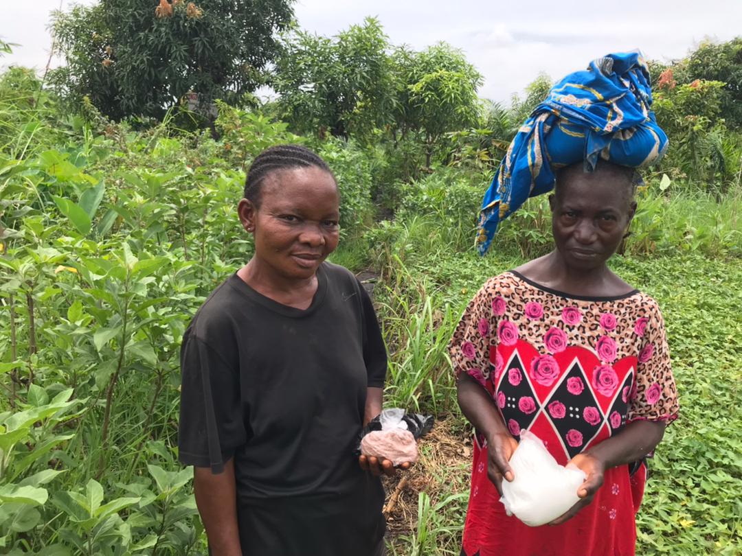 RDC – Société : En marge de mois de la femme nous avons rencontré ce vendredi les femmes maraîchères dans la commune de Masina