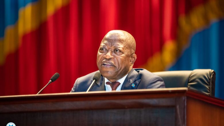 RDC-Parlement:L’Assemblee Nationale approuve le rapport relatif à la loi portant création de l’Ordre national des sages-femme