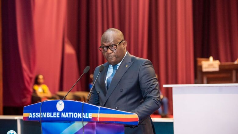 RDC-Parlement: les élus  déclarent recevable la proposition de loi relative au droit de grève