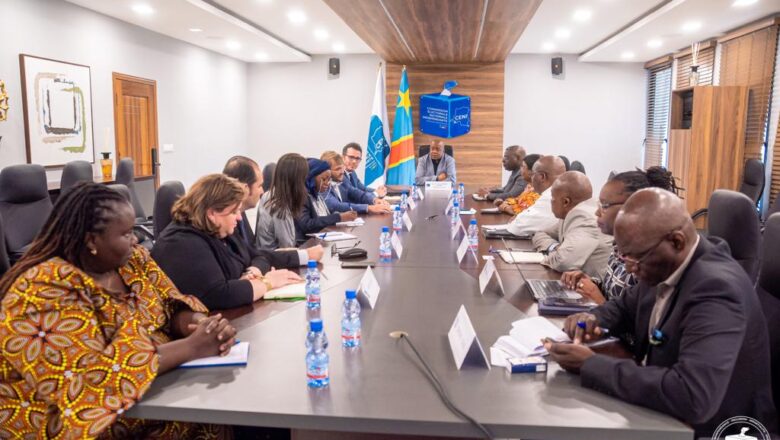 RDC:Les observateurs électoraux du Centre Carter prêts à se déployer sur le terrain pour une mission en long terme(Nicolas Teindas)