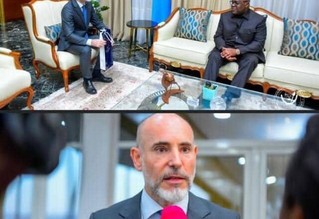 RDC:Des questions liées à l’économie et à la sécurité au centre d’échange entre Félix Tshisekedi,Alberto Petrangeli et Roxane De Bilderling