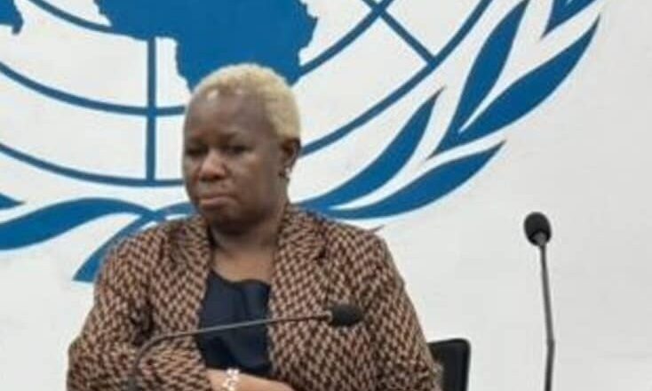RDC:Situation d’insécurité à l’Est l’ONU condamnent les attaques contre son personnel à Kinshasa et demandent des enquêtes