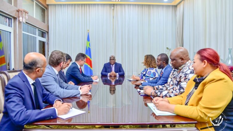 RDC:La situation humanitaire dans l’Est de la RDC au centre d’échange entre Félix Tshisekedi et la délégation de l’union européenne