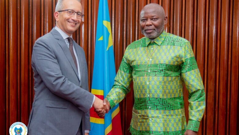 RDC:La coopération parlementaire entre l’Égypte et la RDC au centre d’échange entre Vital Kamerhe et Hesham Abdel Salam Elmekwad