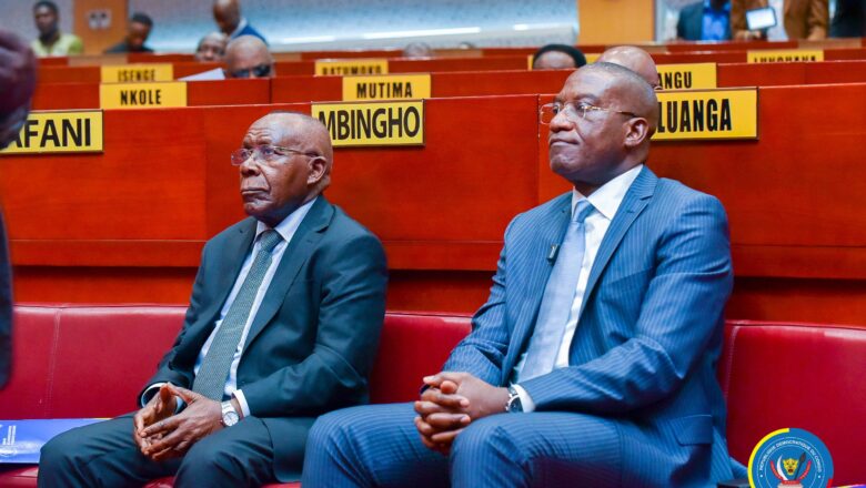 RDC:Contrôle parlementaire au Sénat Questions orales avec débat liées au processus de planification du développement du pays et à la Recherche scientifique adressées à Guylain Nyembo et Gilbert Kabanda par les sénateurs Célestin Vunabandi et Michel Lingepo