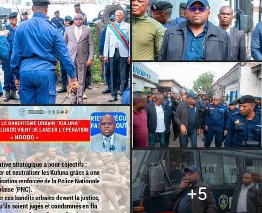 RDC:Le VPM Jacquemain Shabani visite le district de la PNC Tshangu