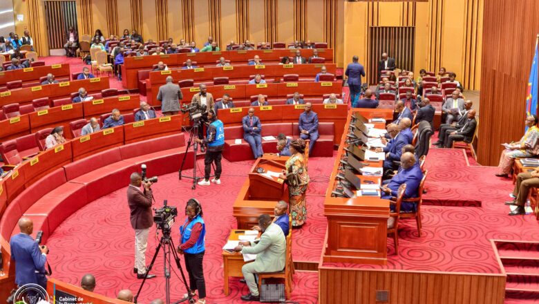 RDC:Le Sénat adopte des lois importantes sur l’enseignement et la culture