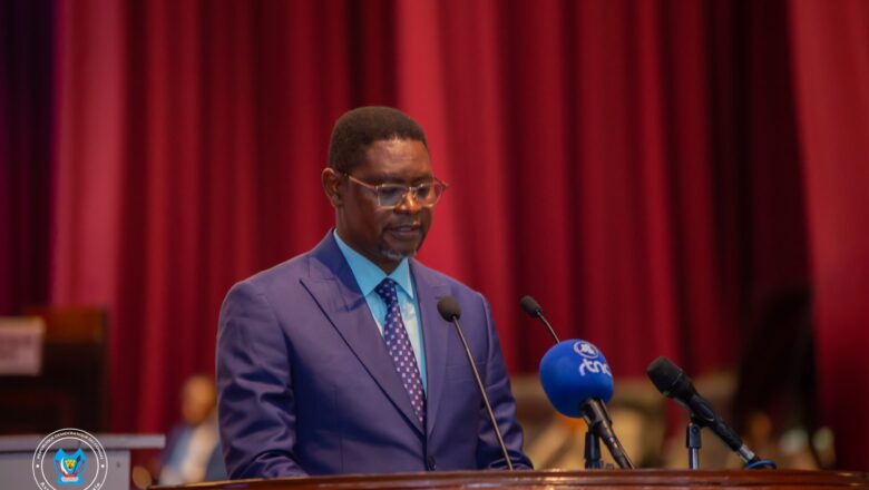 RDC:L’Assemblée nationale declare recevables 2 projets de loi de l’exécutif et une mise en place d’une commission d’enquête au sujet de la rédévance « GO PASS » à la RVA