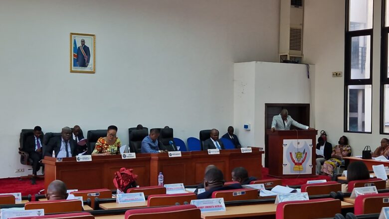 RDC:L’Assemblée provinciale de Kinshasa adopte le rapport de la Commission ATED sur Fiston Lukwebo Musengo