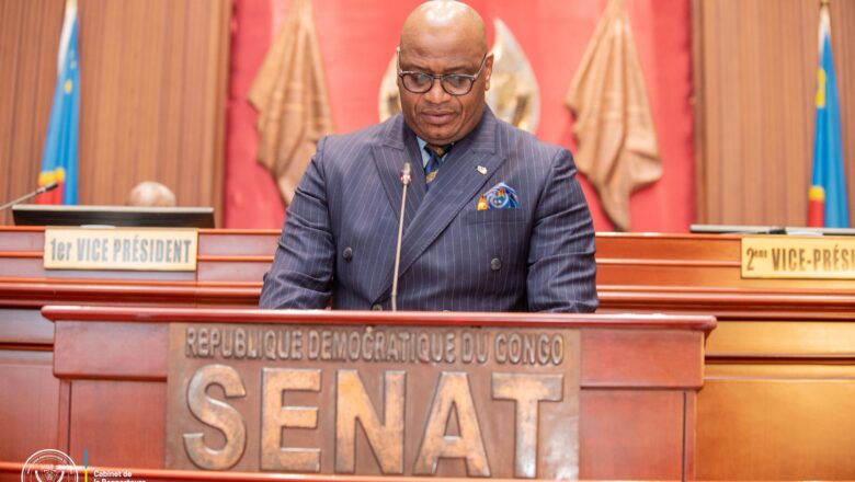 RDC:Le Sénat transmet les recommandations faites au DG de la CNP à la Commission Suivi et Évaluation pour orienter les futures actions