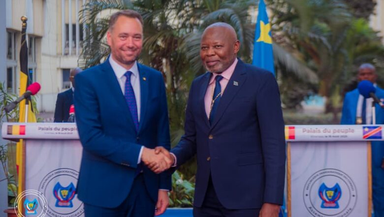 RDC:La Belgique appelle le Parlement congolais à s’impliquer dans le processus de paix en cours