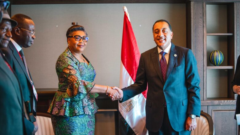 Japon:La RDC et l&rsquo;Égypte vers Une coopération bilatérale relancée en marge de la TICAD9