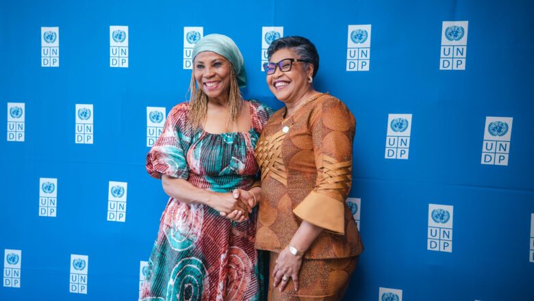 Japon:Un nouvel élan pour accélérer les projets de développement entre la RDC et PNUD