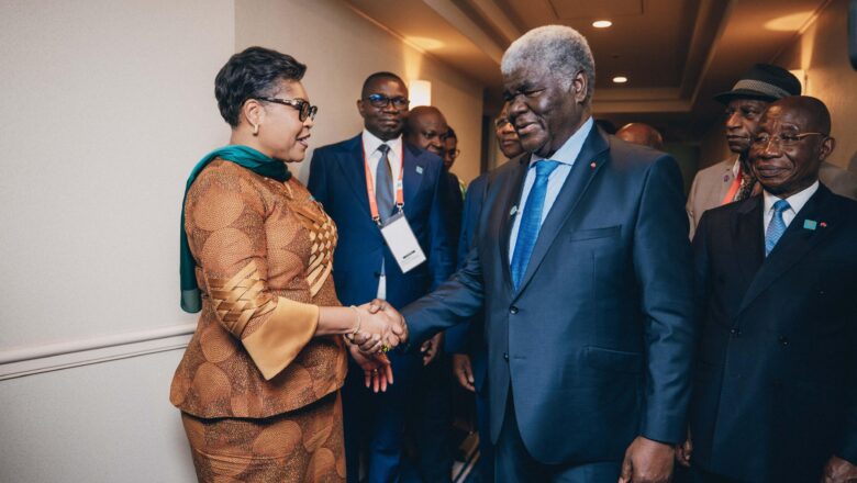 Japon:Une convergence diplomatique pour un avenir partagé entre la RDC et la côte d&rsquo;ivoire