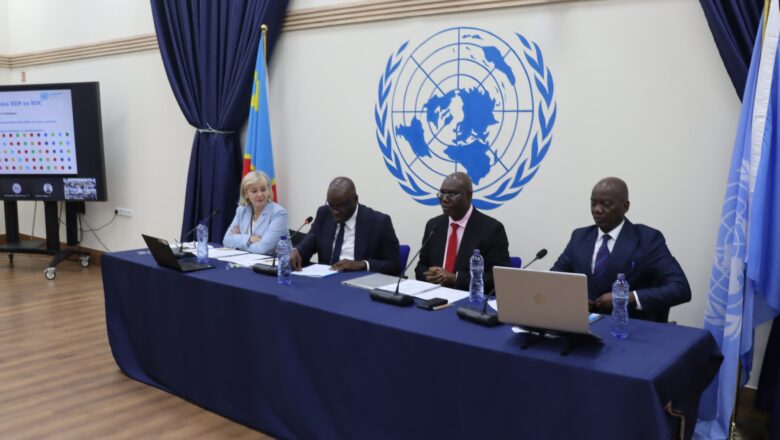 RDC:Mise en place du Groupe de Concertation Nexus-HDP et validation des outils de pilotage multisectoriel