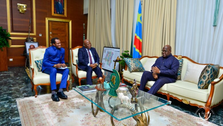 RDC:l&rsquo;Application des lois qui régissent le secteur privé au centre d&rsquo;échange entre le Président Tshisekedi et Miguel Kashal