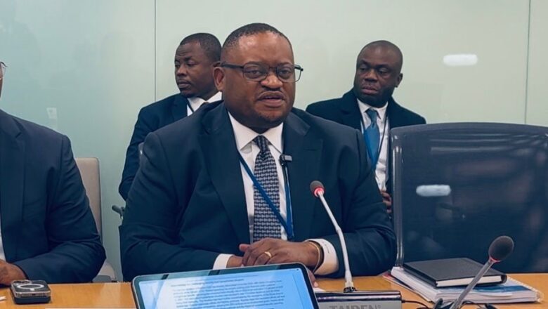 USA : Doudou Fwamba salue les progrès économiques de la RDC lors d’un échange avec le FMI
