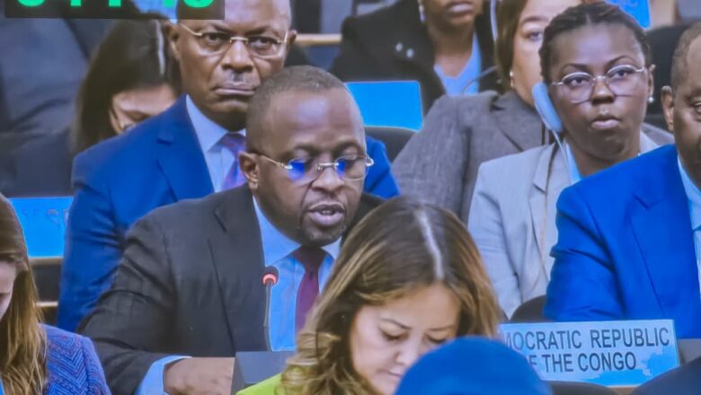 Suisse : le VPM Shabani plaide pour des solutions durables en faveur des réfugiés congolais