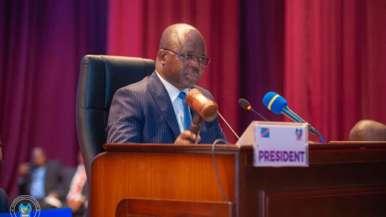 RDC:L&rsquo;Assemblée nationale a réintégré le deux élus, adoption de deux projets de loi et publication imminente du calendrier électorale pour le poste vacants du percevoir