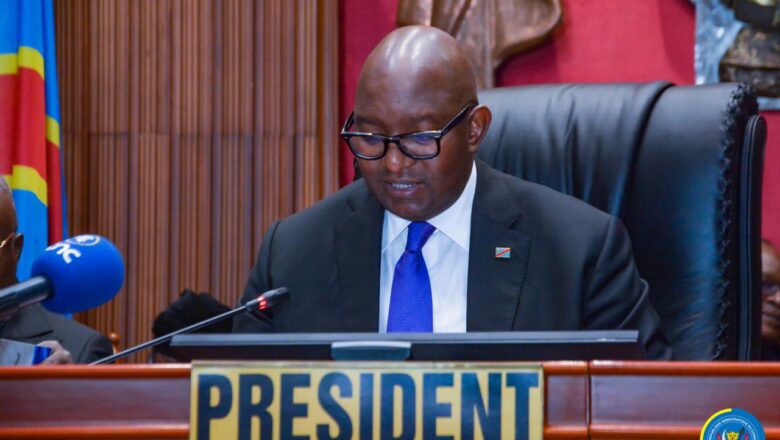 RDC:Le Sénat adopte deux lois clés sur la réforme bancaire et la création d’ordres nationaux