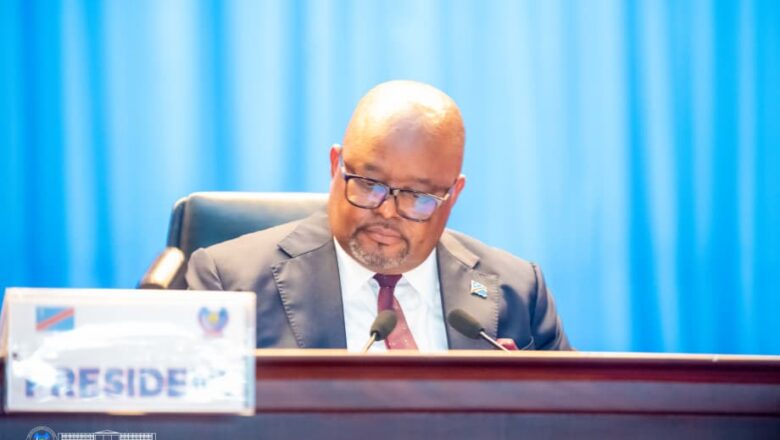 RDC:Aimé Boji Sangara mobilise l’Assemblée nationale pour défendre les Congolais en Afrique du Sud contre la xénophobie