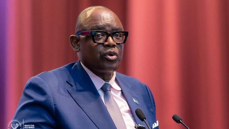 RDC:Louis Watum Kabamba convainc les députés nationaux sur les réformes du secteur minier