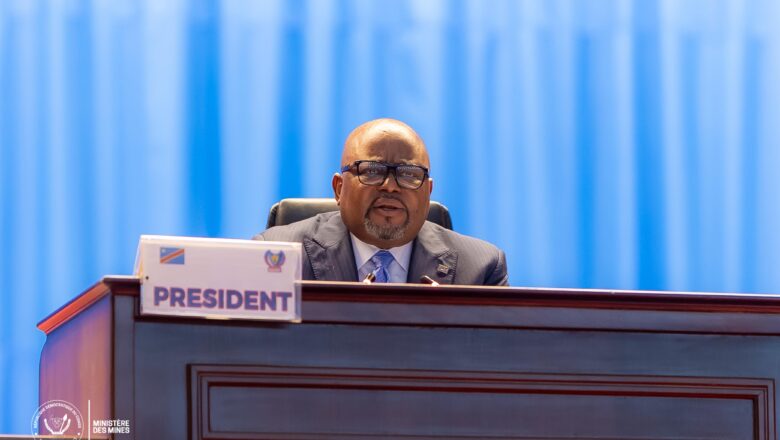 RDC:Aimé Boji supervise l’examen des rapports de la Cour des Comptes et de la CNDH en plénière