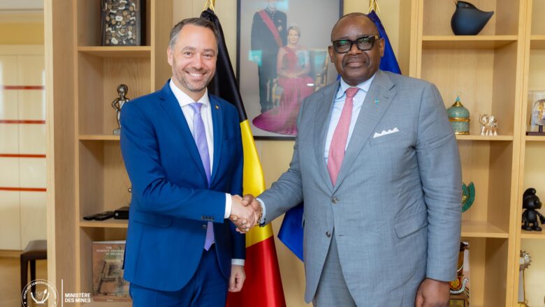 Belgique:Louis Watum plaide pour la transformation locale des minerais congolais chez Umicore et l’AWDC