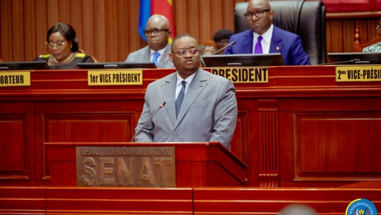 RDC:Le Sénat adopte 4 accord stratégique avec la BAD sur l’agriculture, assainissement et l’emploi