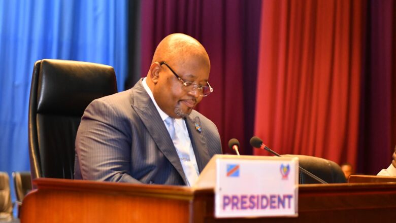 DRC:National Assembly Reviews 2027–2030 Military Programming Bill, Unanimously Approves Reform of Collaboration Agreements