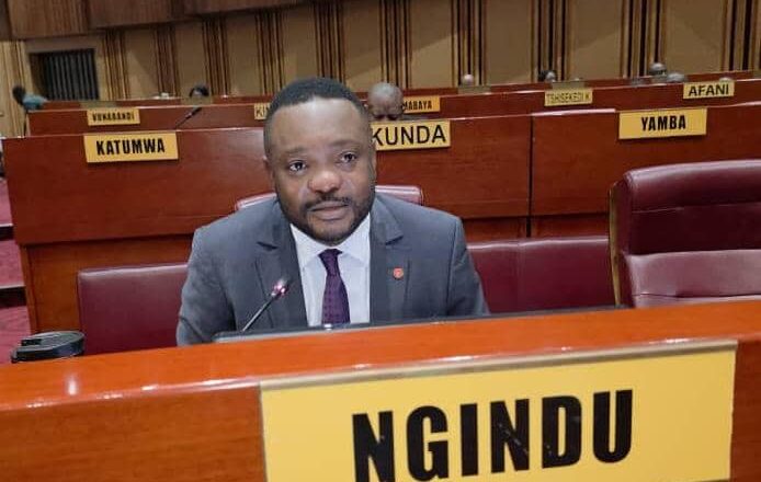 RDC:Le sénateur Cédrick Ngindu plaide pour une réforme structurelle des finances publiques