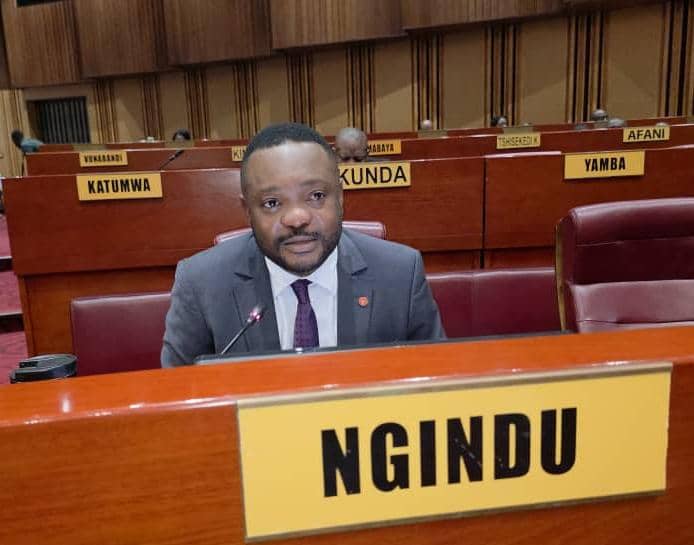 RDC:Le sénateur Cédrick Ngindu plaide pour une réforme structurelle des finances publiques