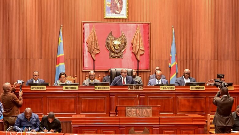 DRC:Senate Reviews Government Budget Policy and Passes Scientific Research Bill at Second Reading