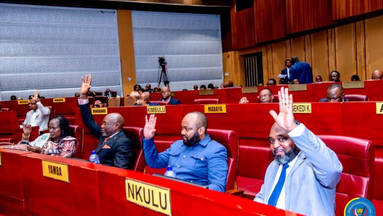 DRC:Senate Unanimously Passes Capital Markets Law, Marking a Major Step Toward Financial Modernization