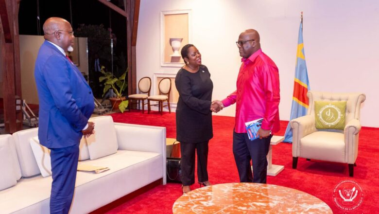 RDC:le PrésidentTshisekedi reçoit une délégation d&rsquo;élus français d&rsquo;origine congolaise