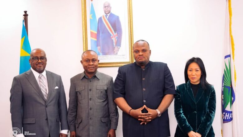DRC:Kinshasa signs agreement with Vingroup to accelerate city expansion project