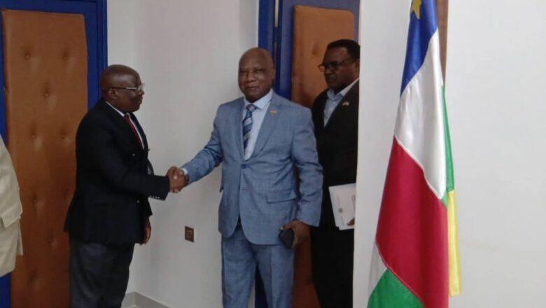 RDC-RCA:Renforcement de la coopération contre les groupes armés transfrontaliers au centre des échanges entre Jean de Dieu Mitima et Henri Wanzelingui