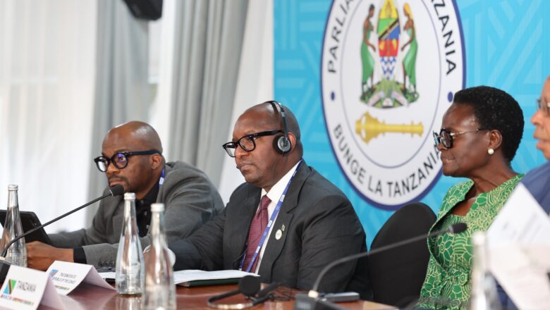 Tanzanie:Sama Lukonde co-preside la réunion stratégique avant la 153 assemblée de l&rsquo;UIP