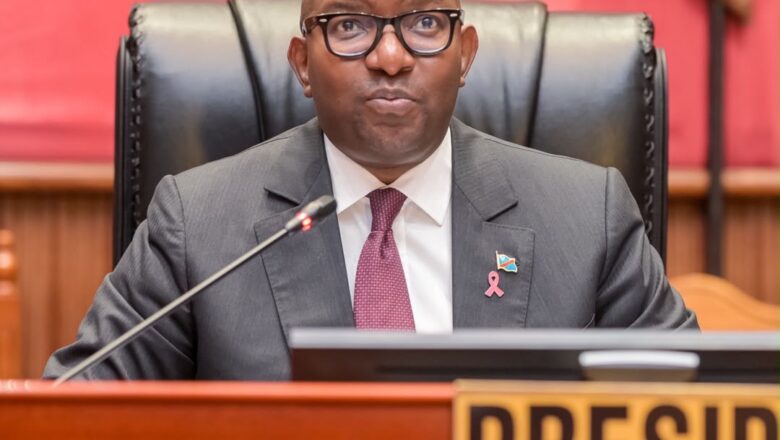 RDC : le Sénat adopte à l’unanimité la prorogation de l’état de siège