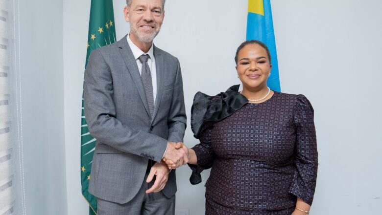 RDC-Allemagne:Thérèse Kayikwamba Wagner et Alexander Fierley échangent sur le renforcement de la coopération bilatérale