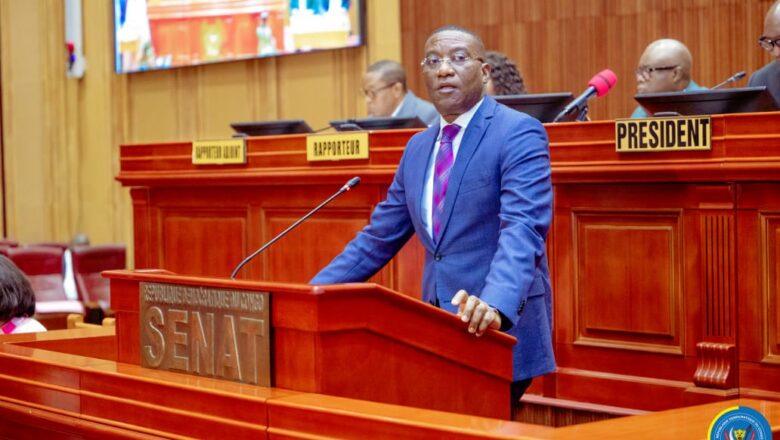 RDC:le Sénat examine la réforme de l’activité statistique avec Guylain Nyembo