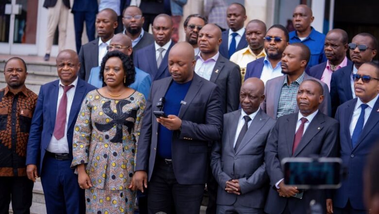 RDC:Les députés nationaux du Sud-Kivu condamnent la création du mouvement politico-militaire FRN